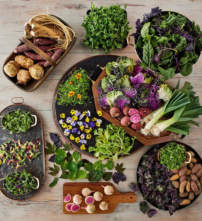 The Chef's Garden Gourmet Vegetable Box